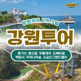 방방곡곡 강원투어 2박3일 / 49만원 부터~
