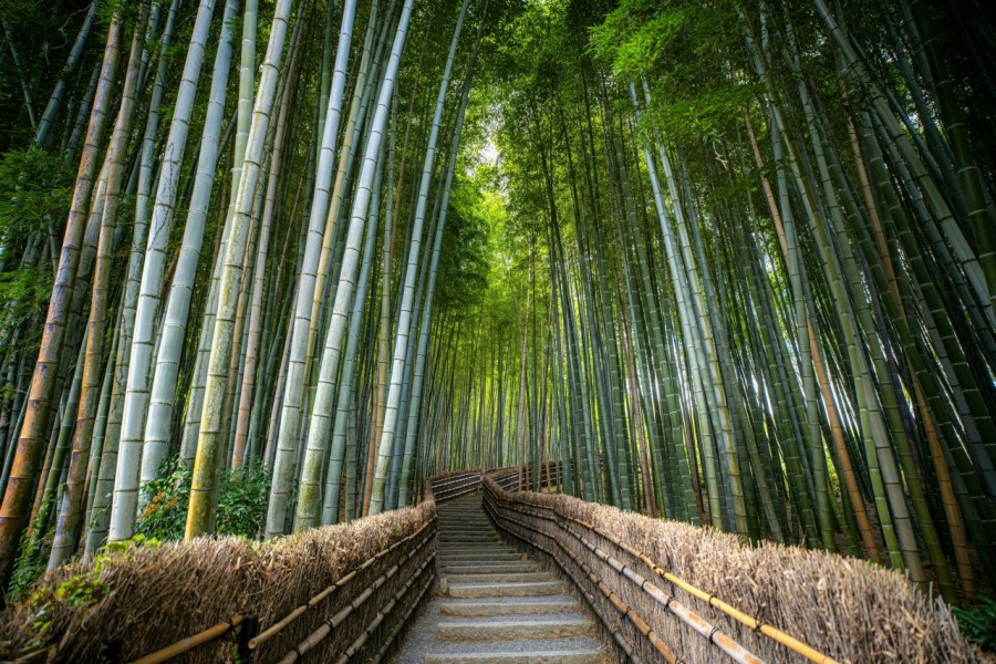 bf13c55dcda9ddd133ef0eaa87e259f1_1791422908_9289.jpg